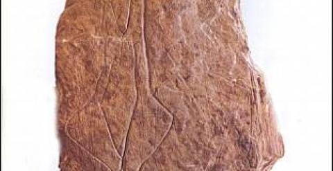 grabado prehistórico
