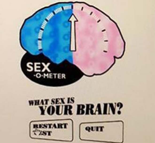 what-sex-is-your-brain