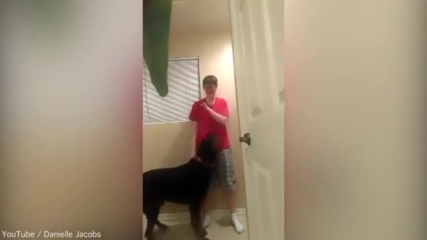 La Policía de EEUU mata a un transexual con síndrome de Asperger famoso por un vídeo con su perro